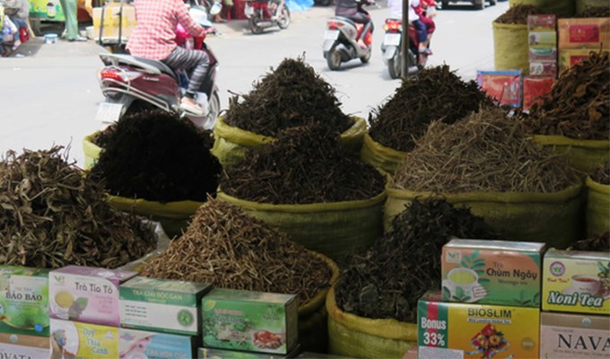 “Biệt dược” vỉa hè