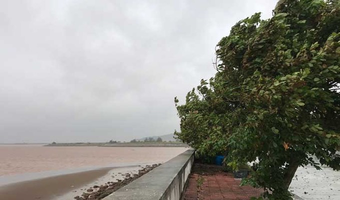 Phép thử