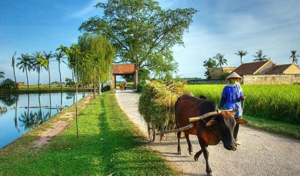 Ðường cong thời gian