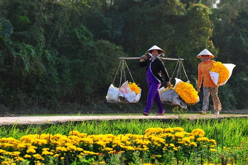 Cảnh báo về cuối năm