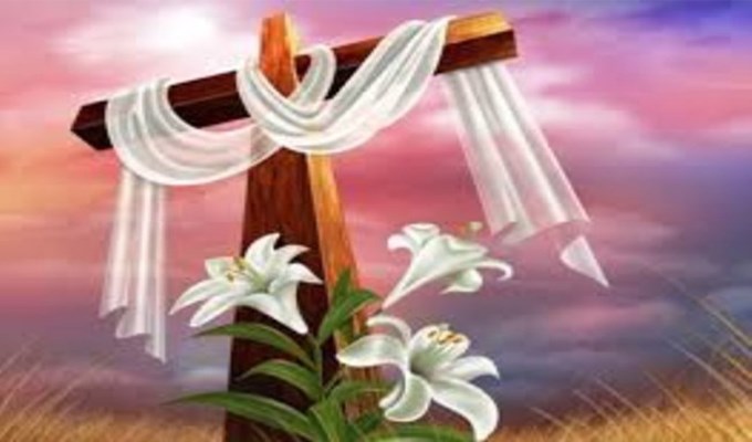 Sự sống vĩnh cửu một ân ban (CN XVIII thường niên - Ga 6,24-35)