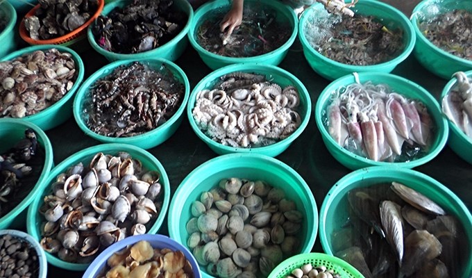 Thưởng thức vị hải sản trên đất Gò Công