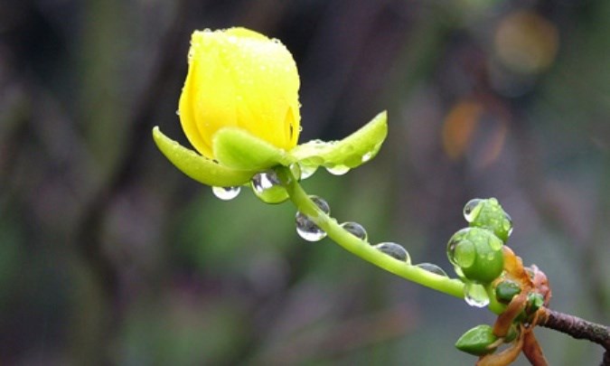 Cái mới của năm này