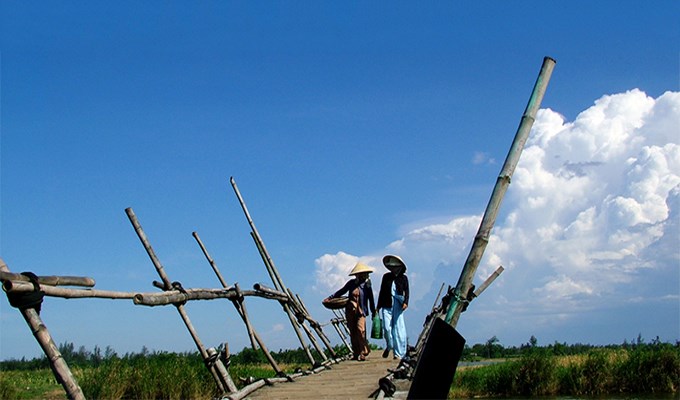 Nhịp cầu tre