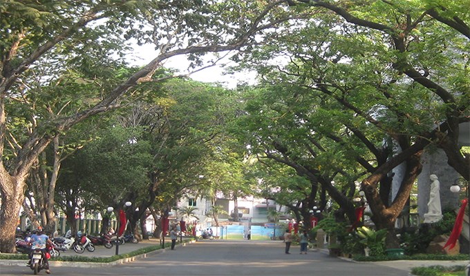 Trong khu vườn nhà Chúa
