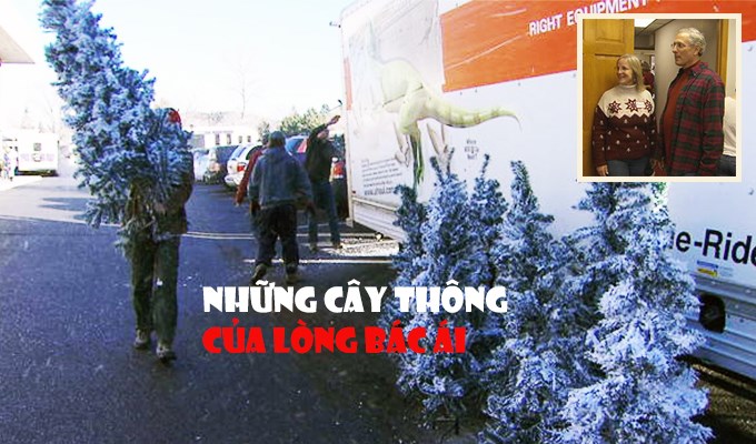 Những cây thông của lòng bác ái