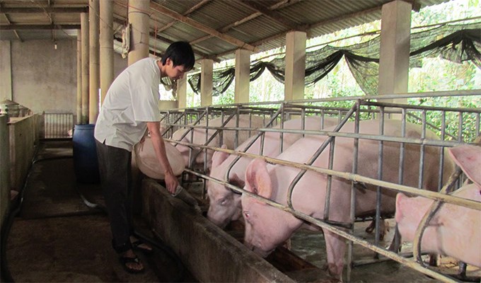 Sức mạnh nội lực