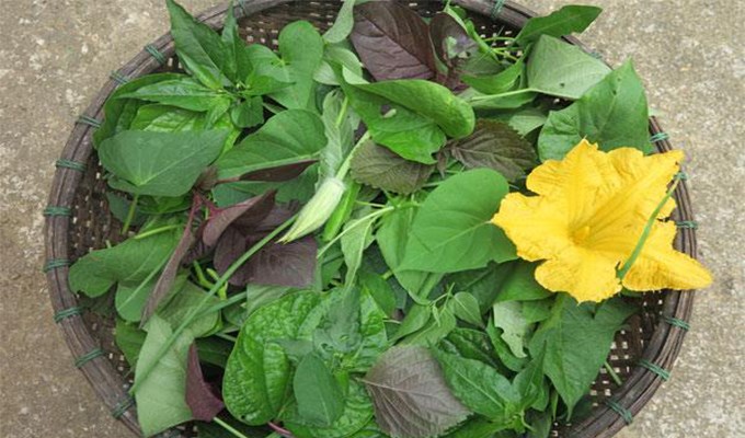 Thương nhớ tập tàng