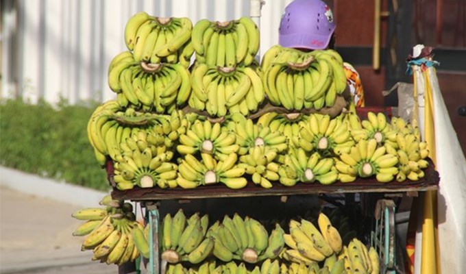 Người bán chuối dạo