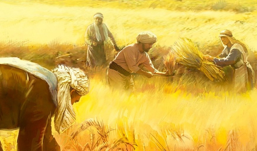 Hành trang của những mục tử
