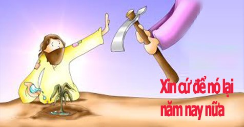 HỌC HỎI PHÚC ÂM CHÚA NHẬT III MÙA CHAY - NĂM C