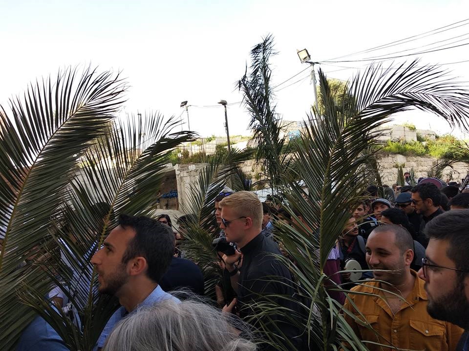 Toàn cảnh lễ lá tại Jerusalem