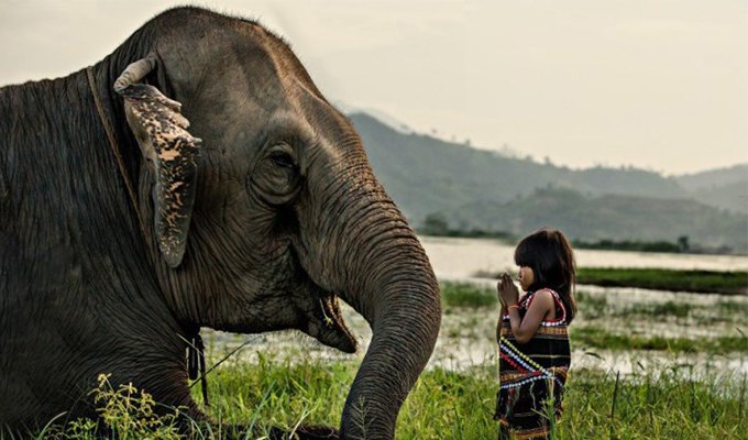 Châu Á cần sống tôn trọng thiên nhiên