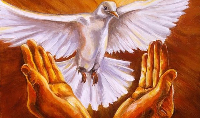 Linh mục phải xét mình hằng ngày