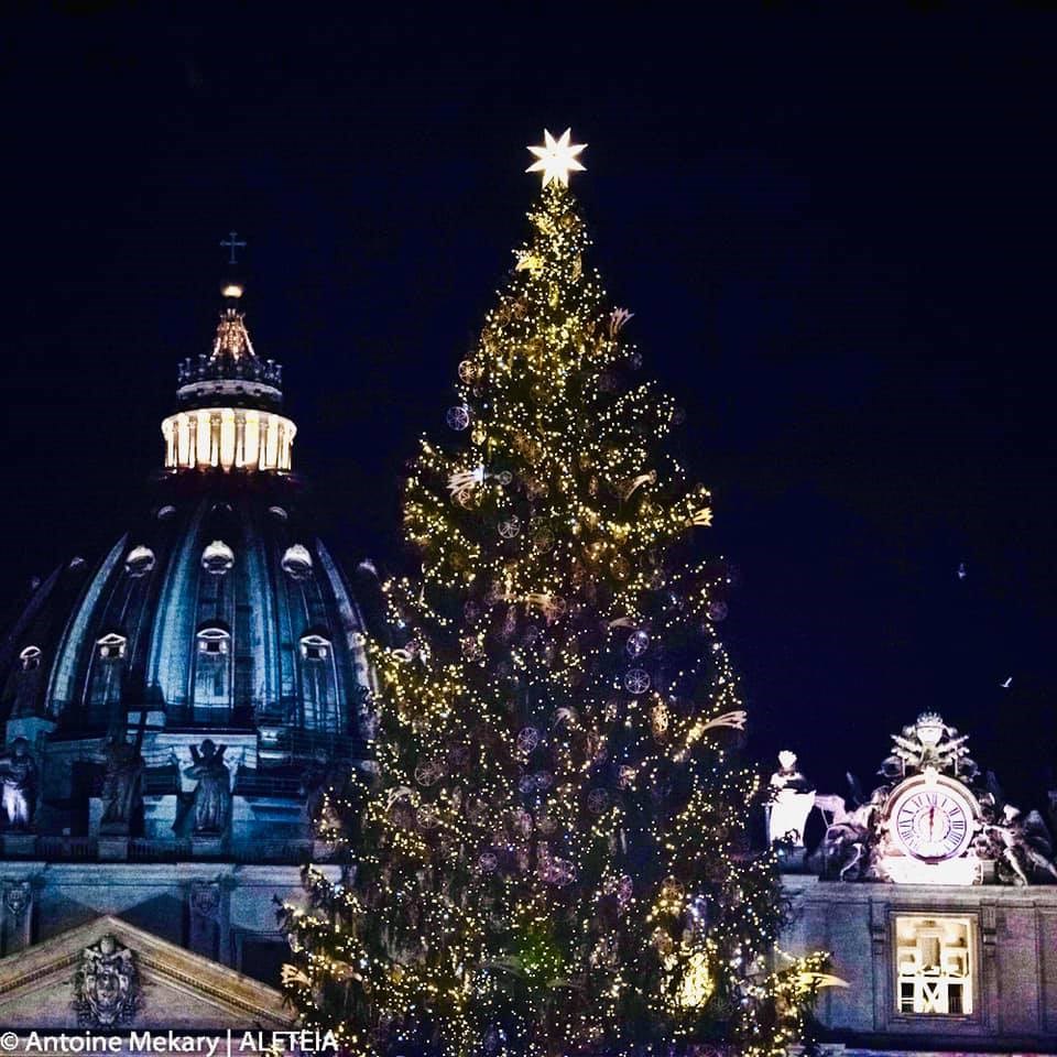 Khánh thành hang đá và cây thông Giáng Sinh ở Vatican