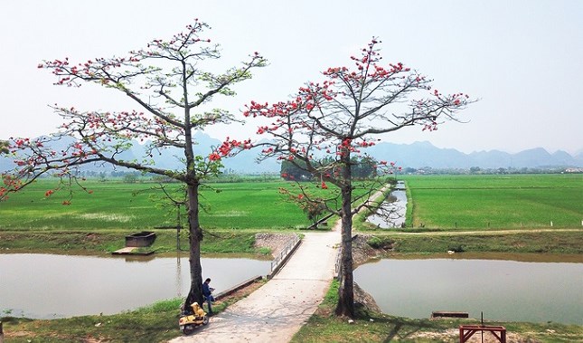 Những điều đơn giản đã không còn