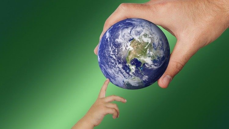 Tòa Thánh tổ chức Năm Sinh thái Laudato Sì