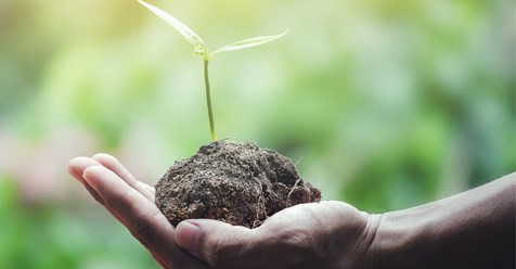 Tòa Thánh tổ chức Năm Sinh thái Laudato Si’