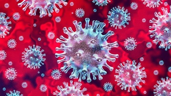 11 vị giám mục qua đời  vì Covid-19 trong hơn một tuần