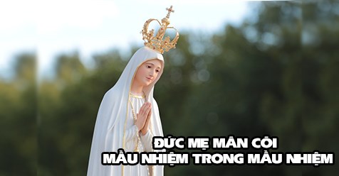 ĐỨC MẸ MÂN CÔI - MẦU NHIỆM TRONG MẦU NHIỆM