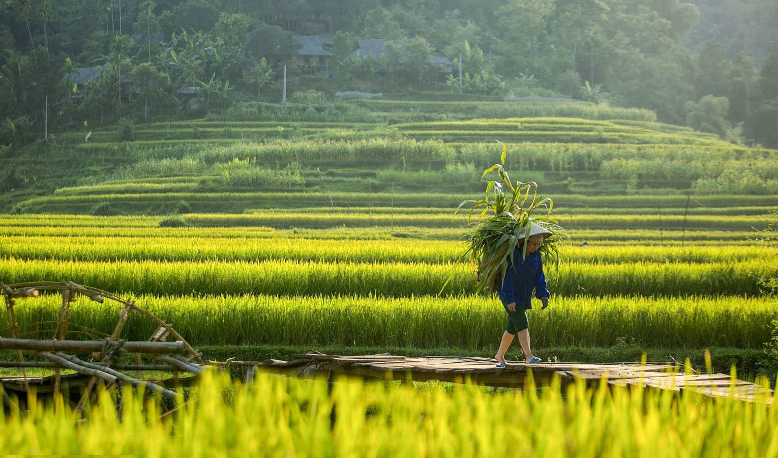 Cái đẹp quê nhà