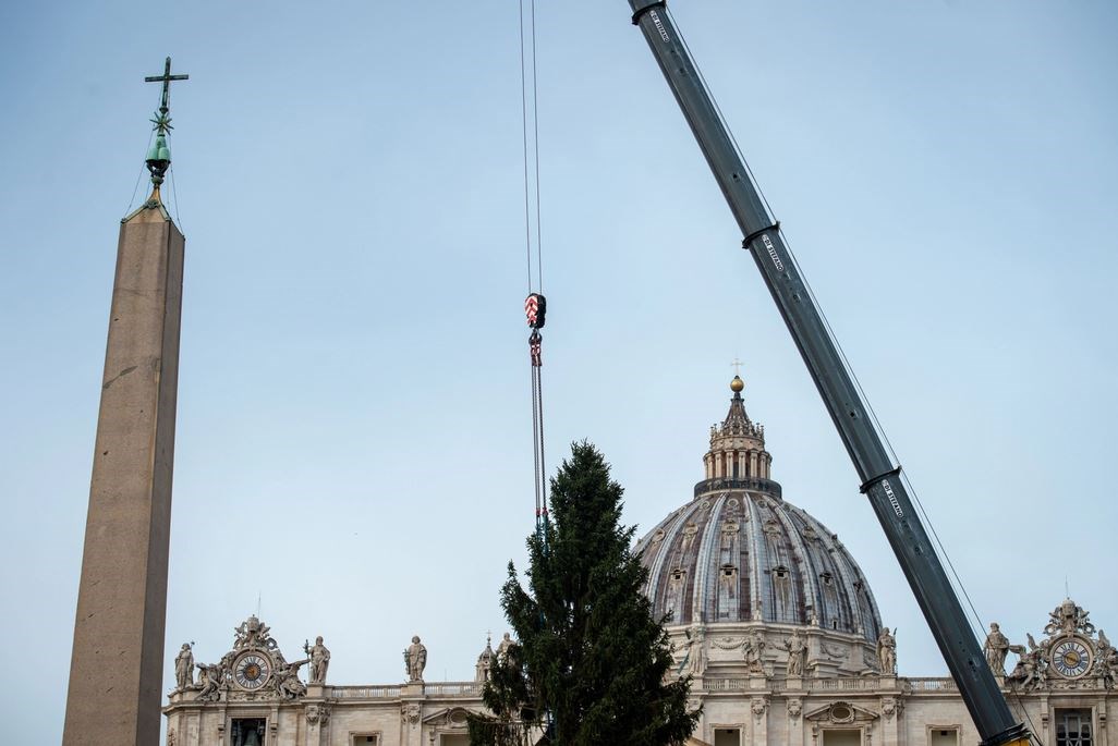 Cây thông Giáng Sinh đã về đến Vatican