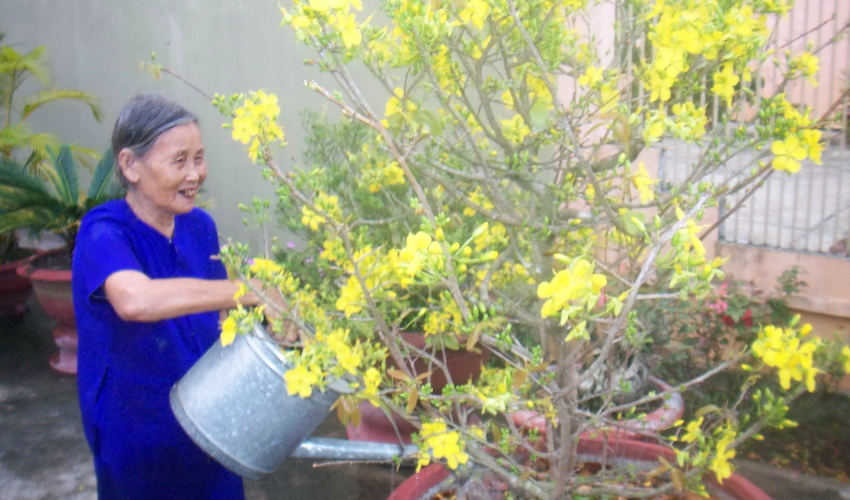 Ngoại và mùa Xuân tuổi 93