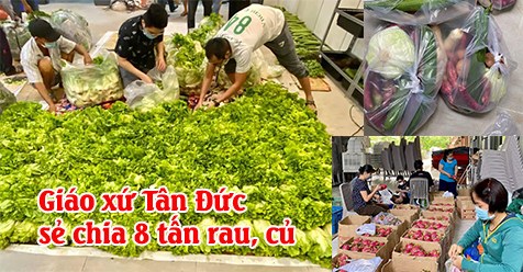 Giáo xứ Tân Đức sẻ chia 8 tấn rau, củ