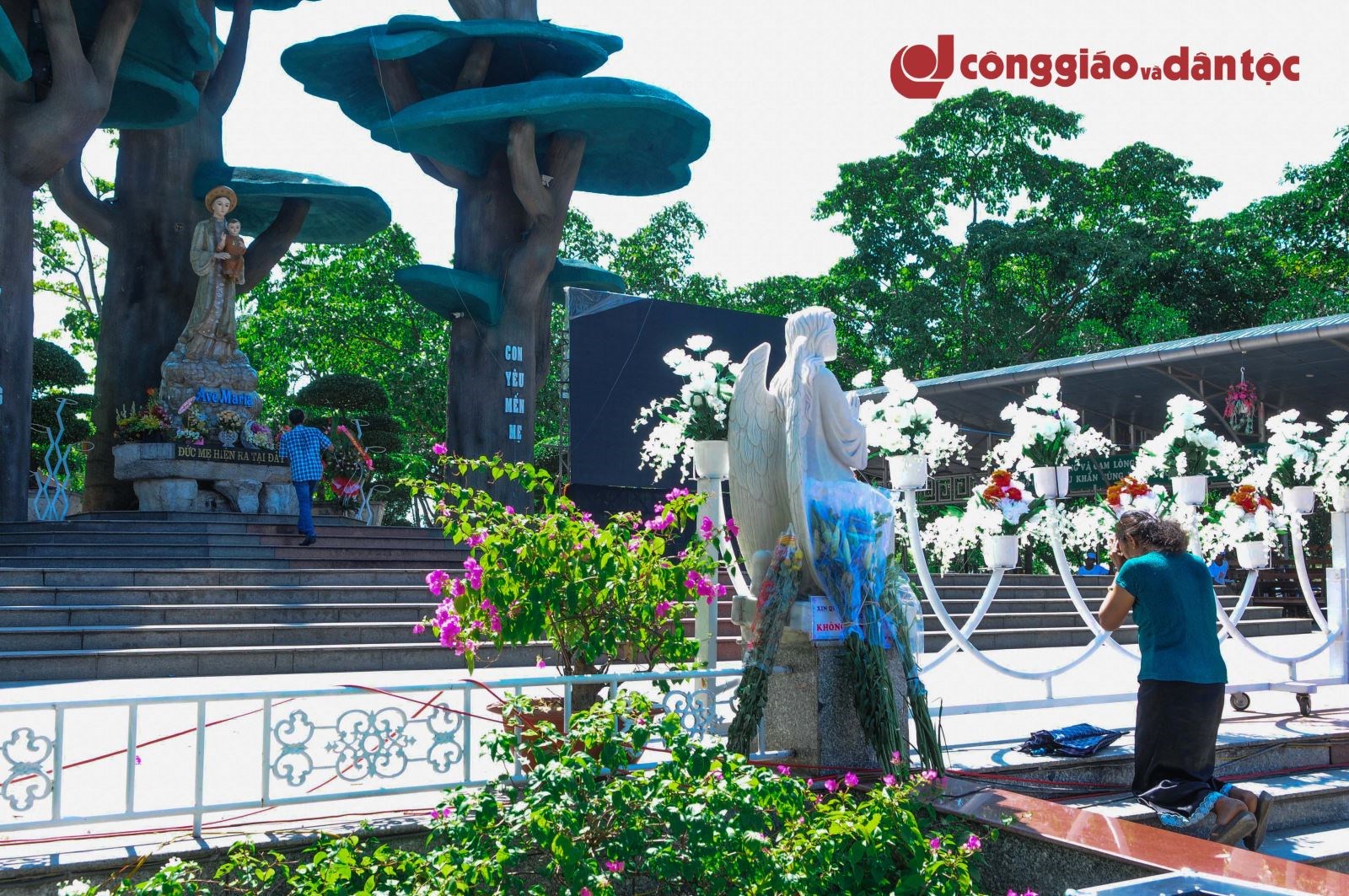 Thông báo về thánh lễ trực tuyến kính Đức Mẹ La Vang ngày 15.8.2021