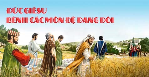 GÓC SUY GẪM – MÙA DỊCH COVID 19  (Lc 6,1-5; thứ Bảy, tuần XXII Thường niên)