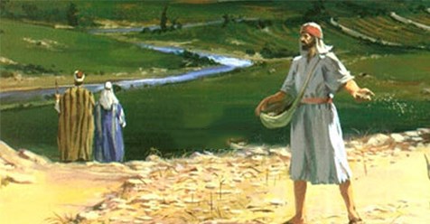 GÓC SUY GẪM – MÙA DỊCH COVID-19 (Lc 8,4-15, thứ Bảy, tuần XXIV Thường niên)