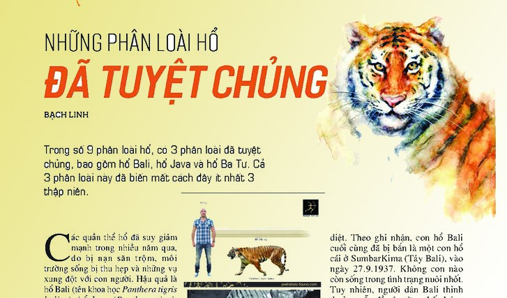 Những phân loài hổ đã tuyệt chủng