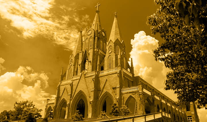 Những vệt đèn sáng trong sương mai