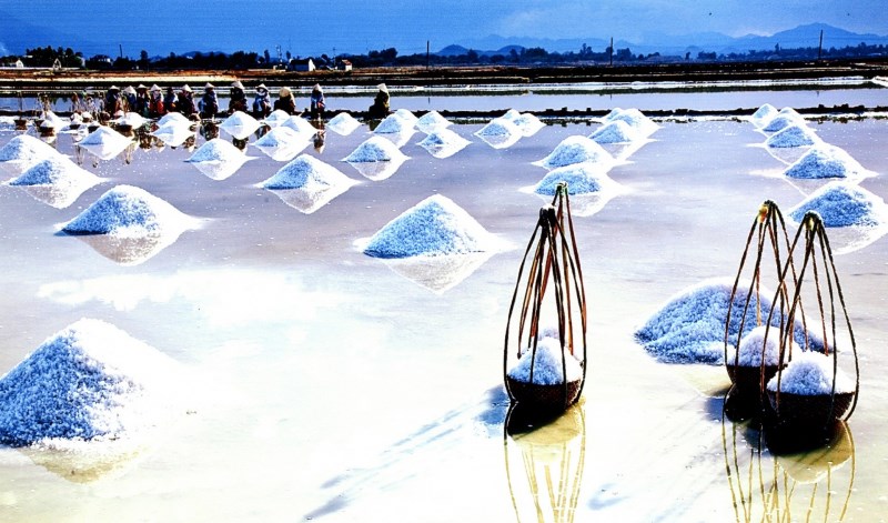 Mặn nồng hạt muối quê hương…