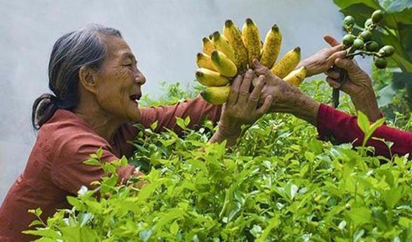 “Xã hội” đầu tiên ở nhà hàng xóm…