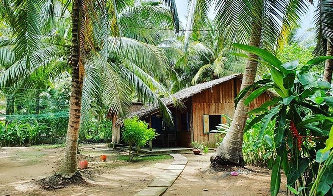 Vườn dừa của ngoại