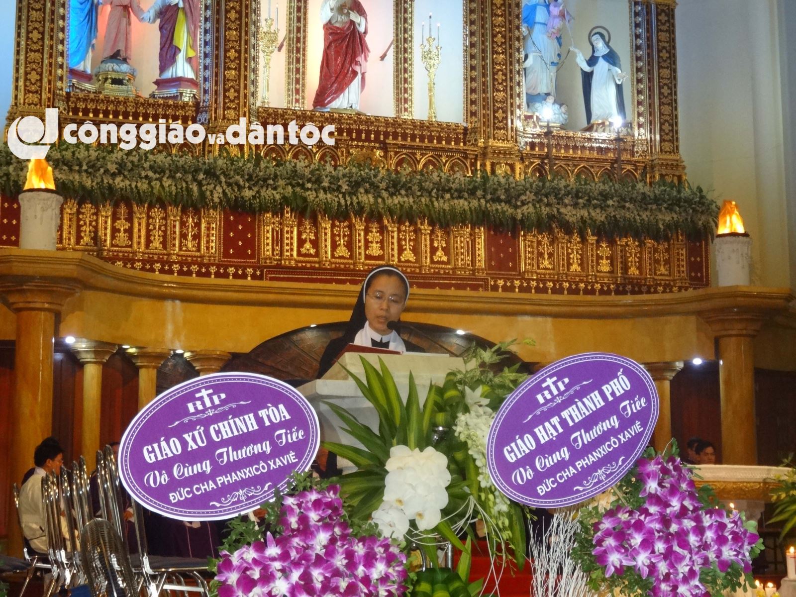 Tinh dong Daminh vieng linh cuu DC Sang