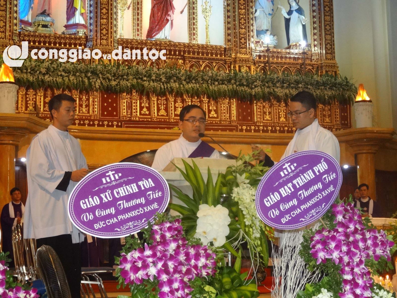 Tinh dong Daminh vieng linh cuu DC Sang