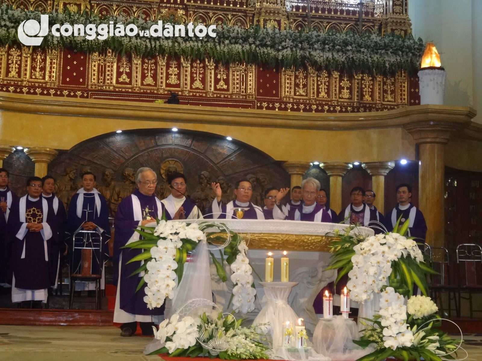 Tinh dong Daminh vieng linh cuu DC Sang