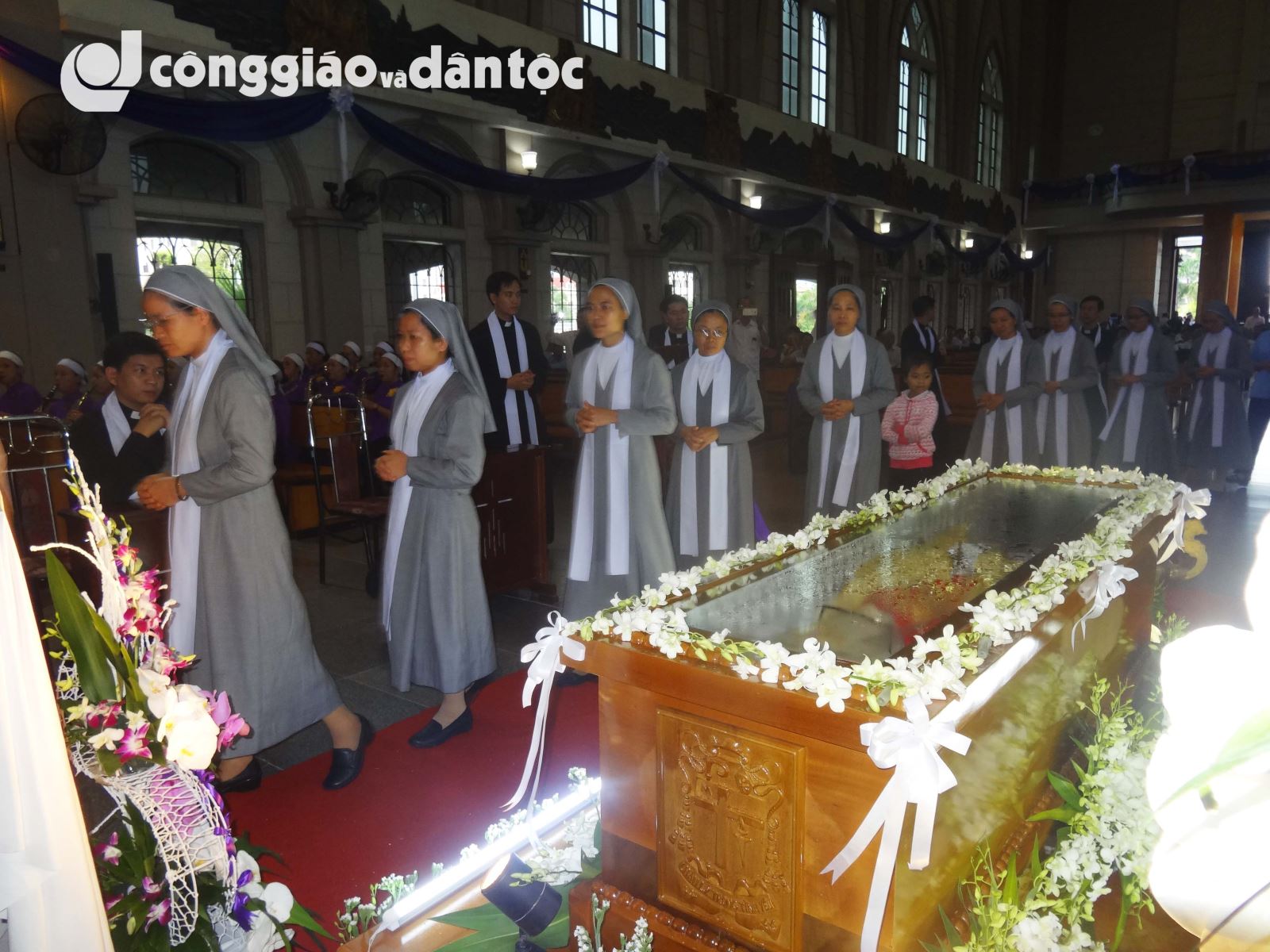 Tinh dong Daminh vieng linh cuu DC Sang