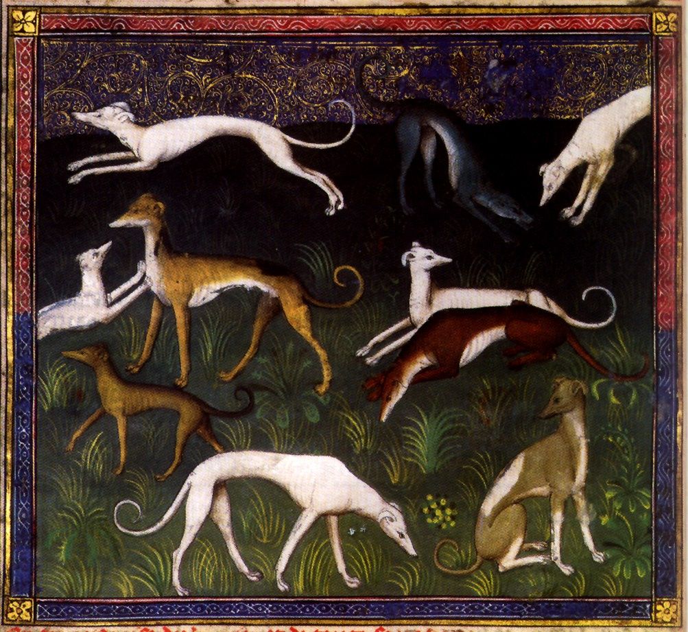 hinh 5.jpg (219 KB)