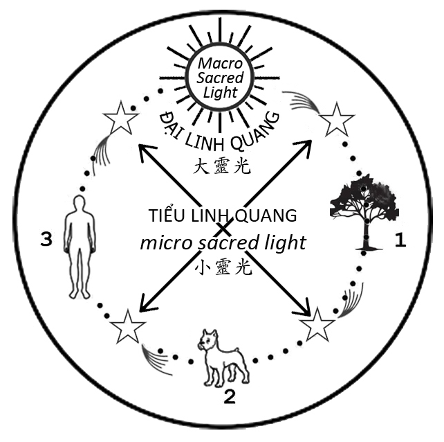 Nhon Vat T H.jpg (132 KB)