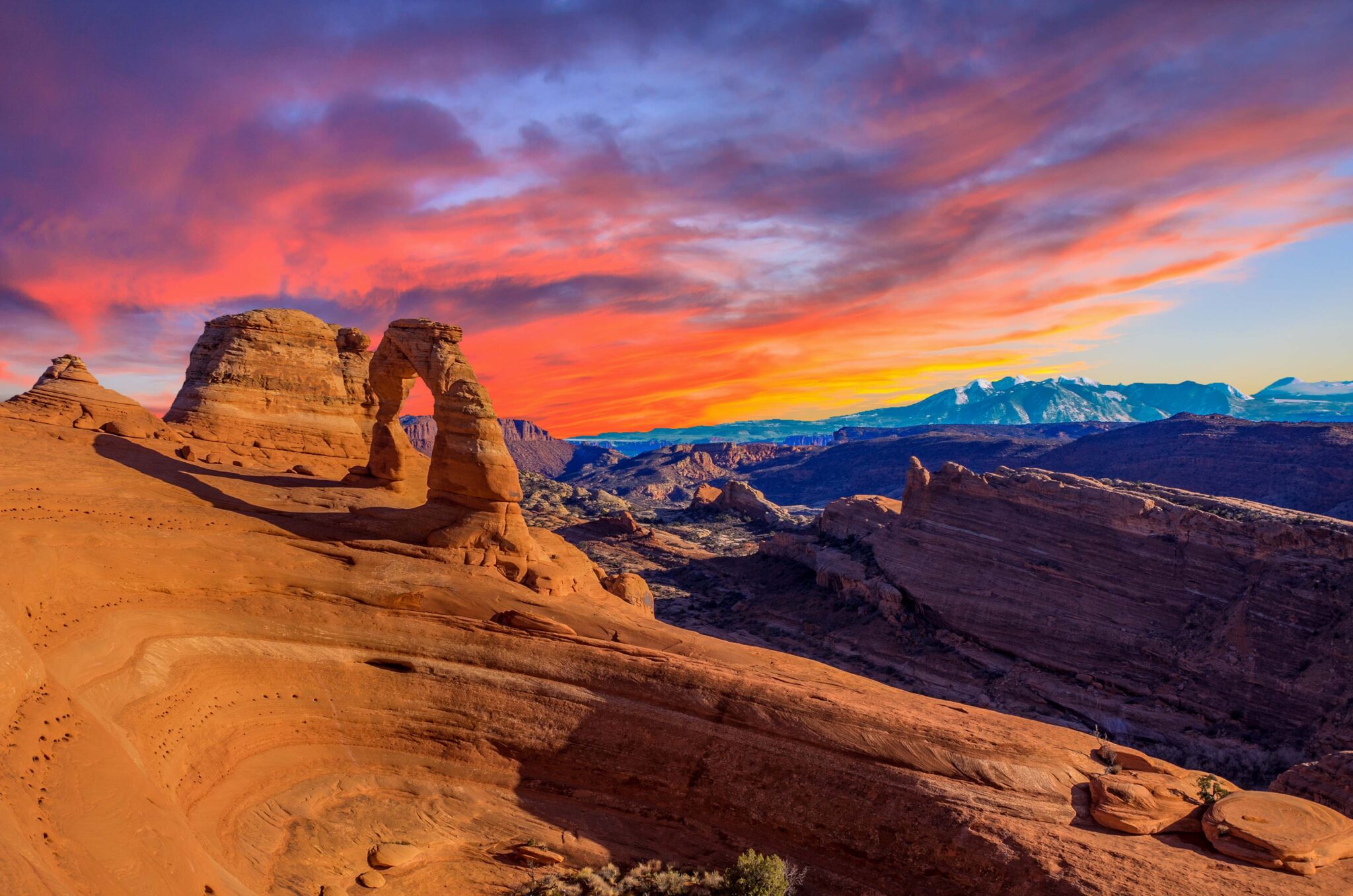 shutterstock_267775931-2048x1357.jpg (408 KB)