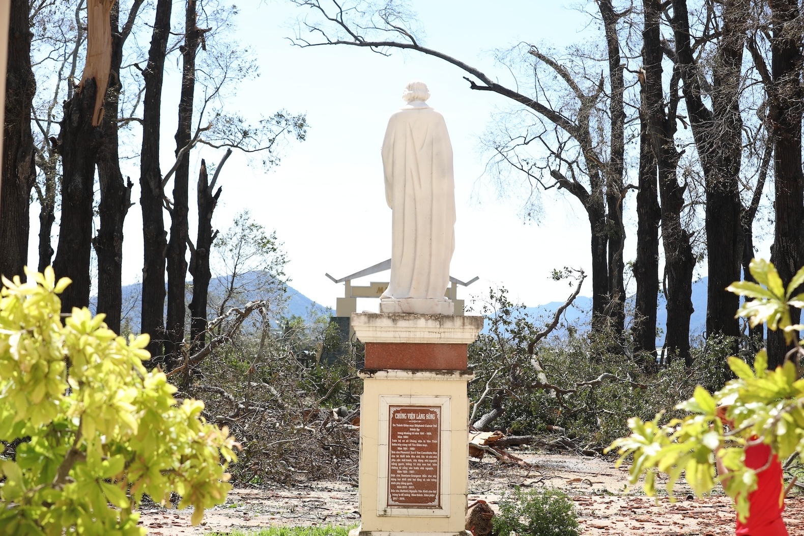 Chung vien Lang Song.jpg (868 KB)