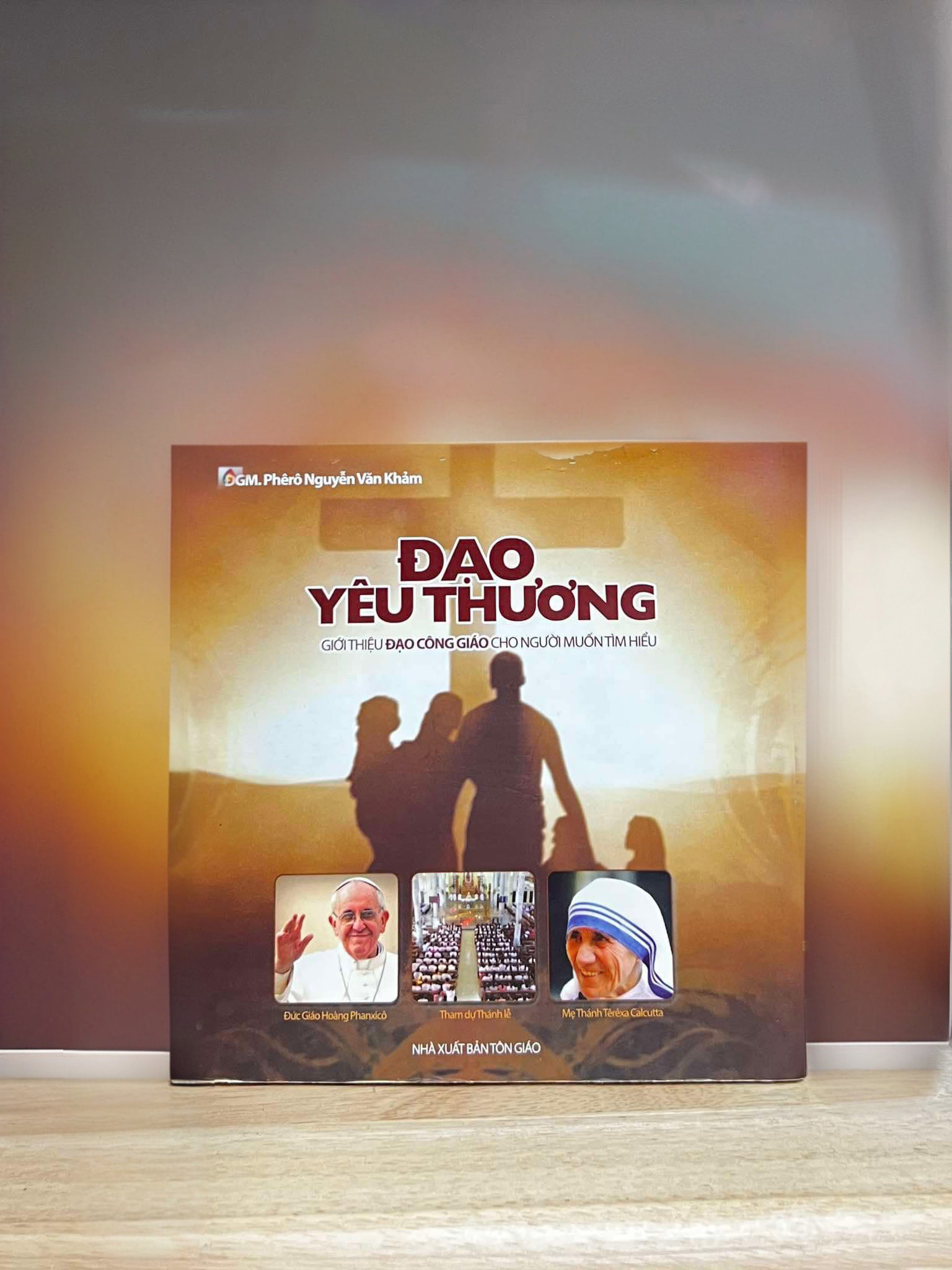 daoyeuthuong.jpeg (365 KB)