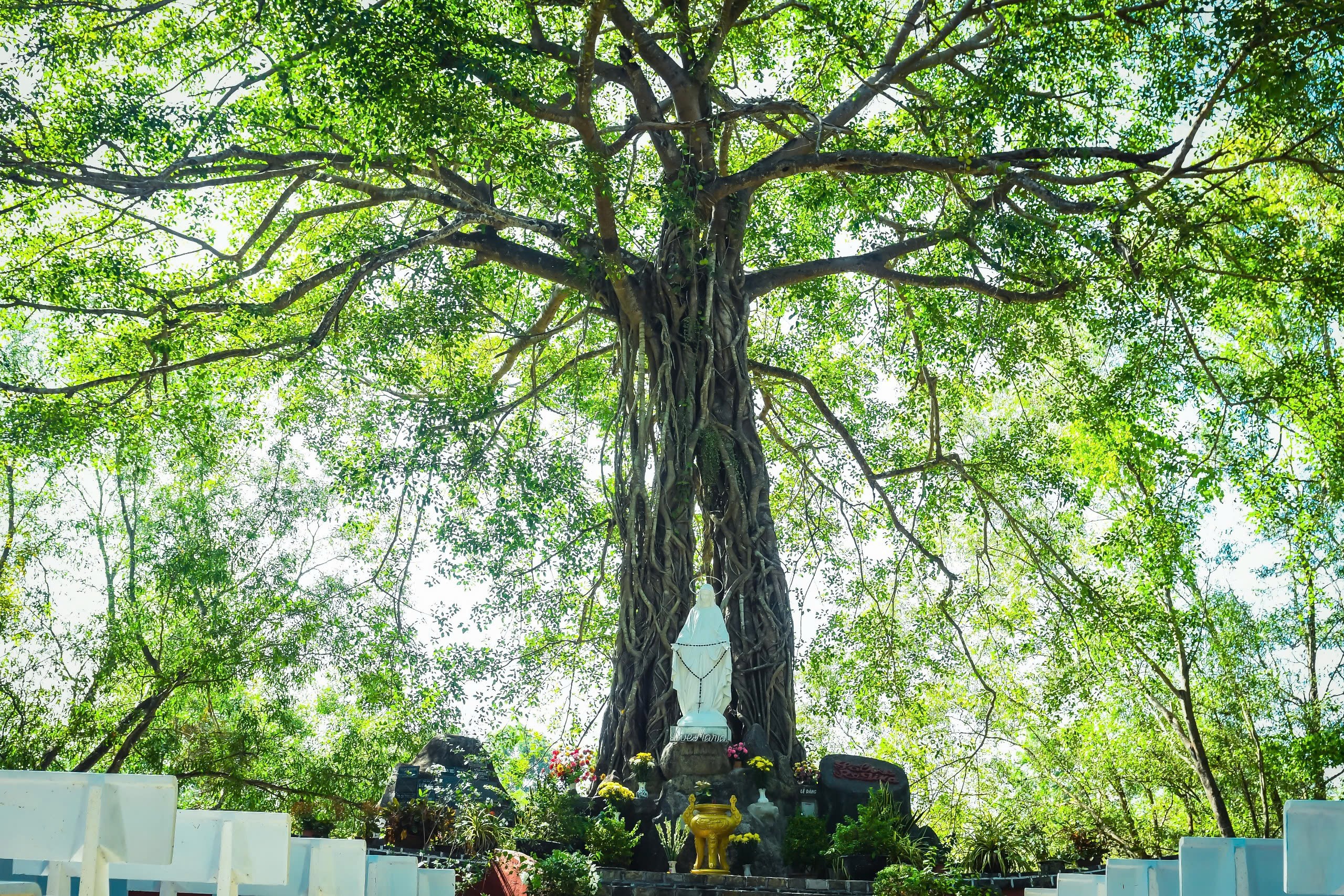 ong kinh 2483 a.jpg (2.38 MB)