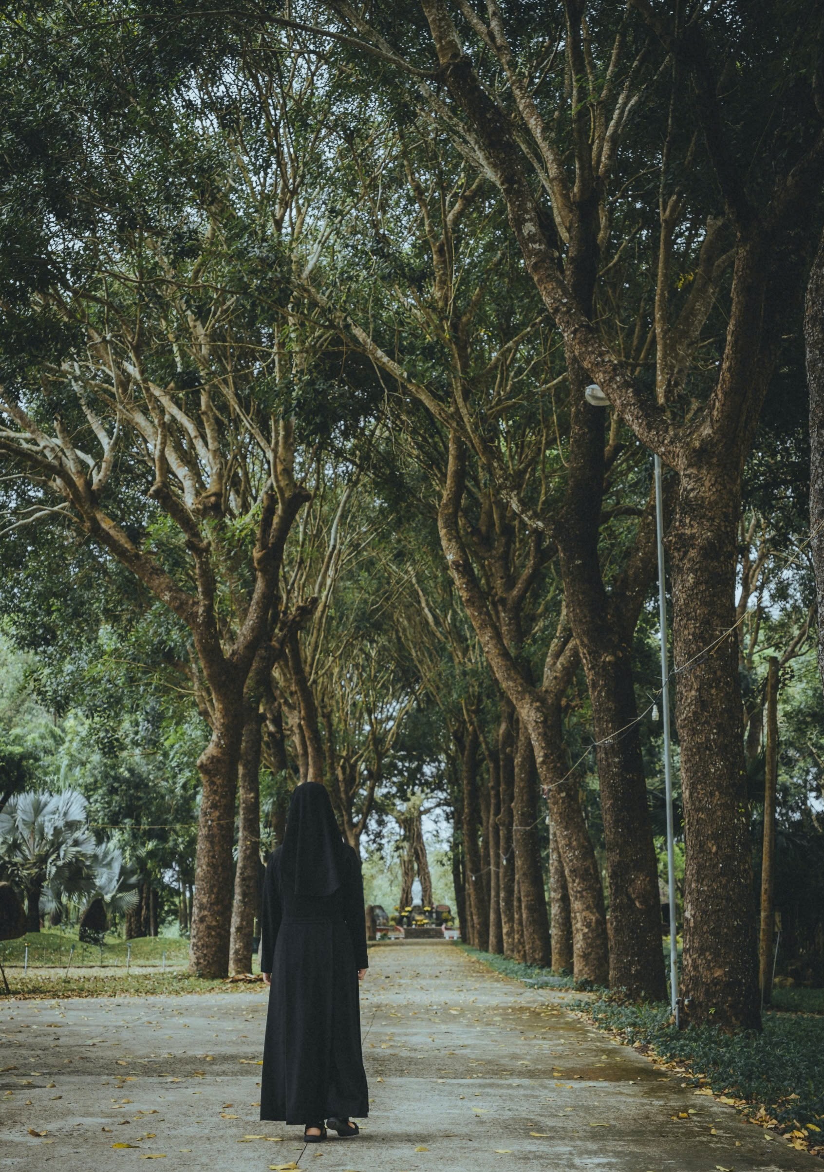 ong kinh 2483.e.jpg (1.19 MB)