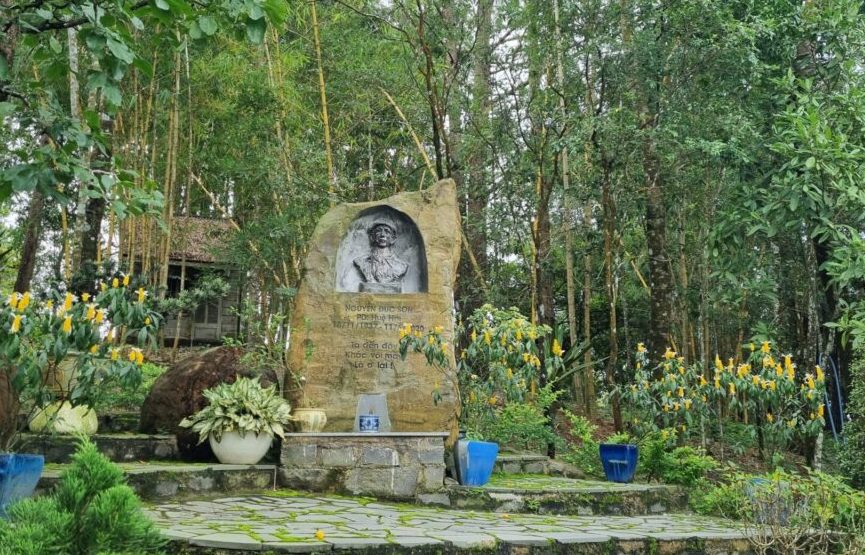 Ði giữa rừng thông Phương Bối