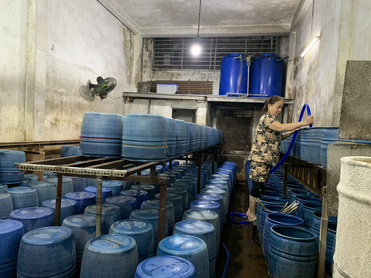 Gia đình 3 đời làm nghề giá đỗ truyền thống