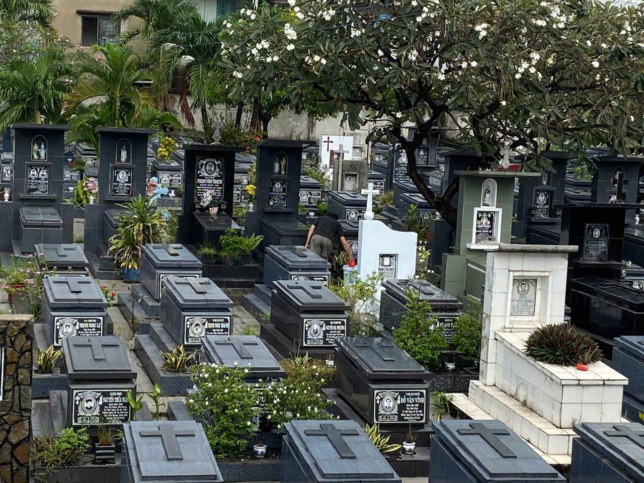 ong kinh b.jpg (497 KB)